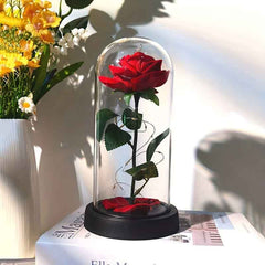 Večna Ruža U Staklu