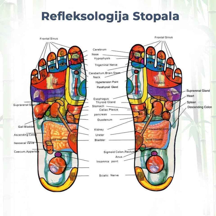 Flasteri za detoksikaciju 1 + 1 Gratis
